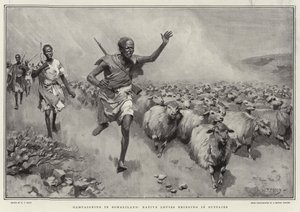 Kampanjer i Somaliland Native Levies henter inn forsyninger